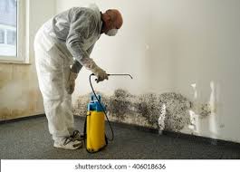 Trusted Minoa, NY Mold Remediation Experts